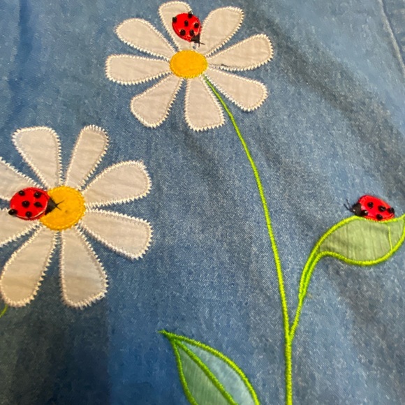 Ms Lee vintage Large layered button up. Flowers & lady bugs. Red gingham denim - Picture 4 of 8